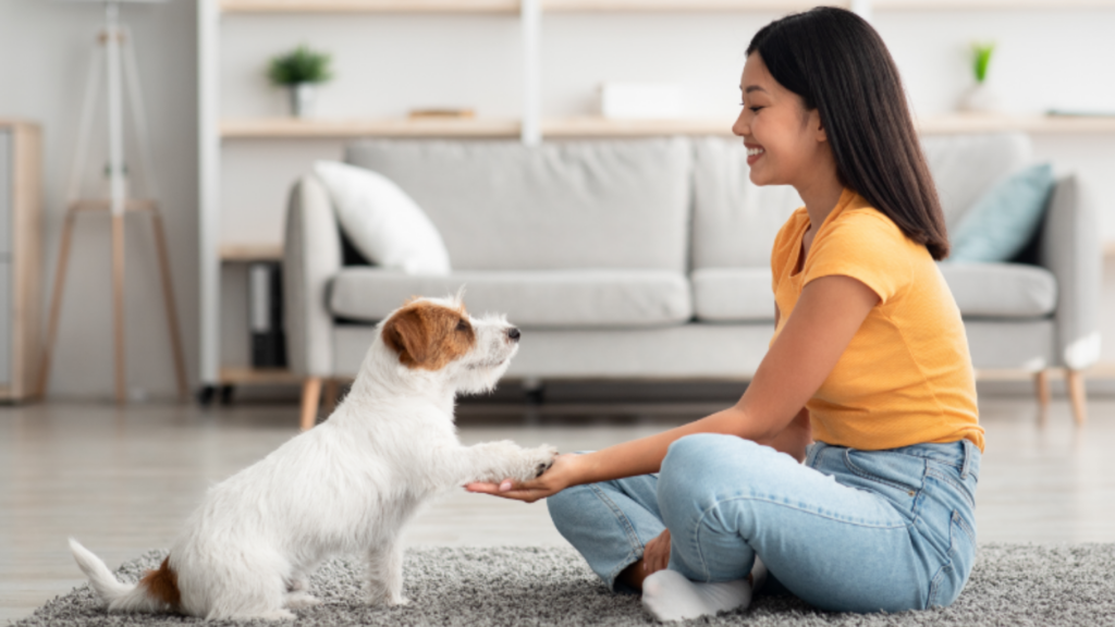 未経験OK！研修制度あり♪