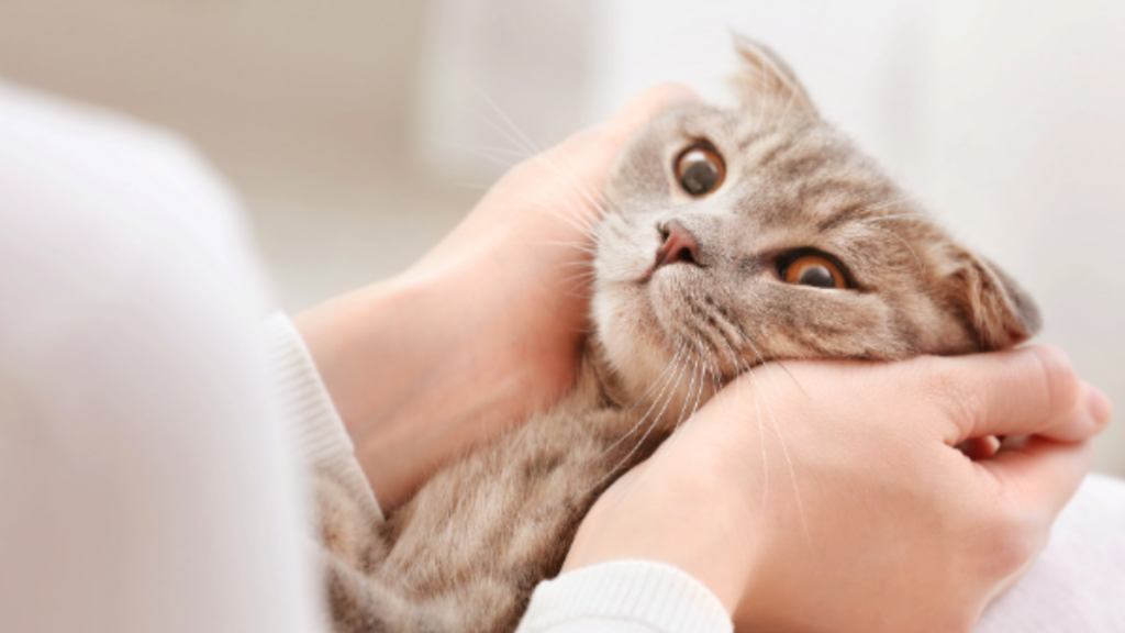 地域密着型の運営方法と継続的サポート！