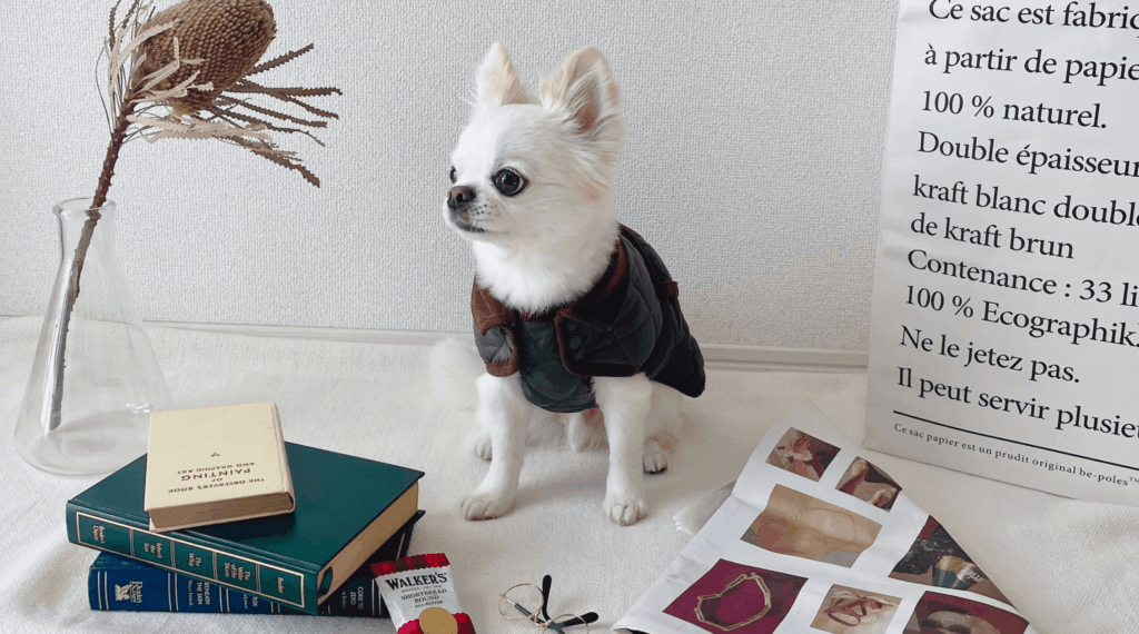 ペットが好き！その気持ちがあれば！