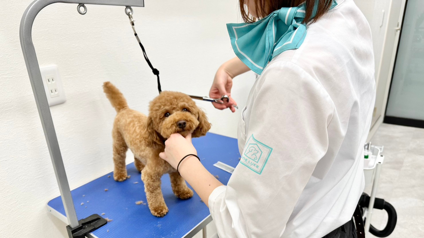 ペットホテル＆トリミング「ワンルーク」