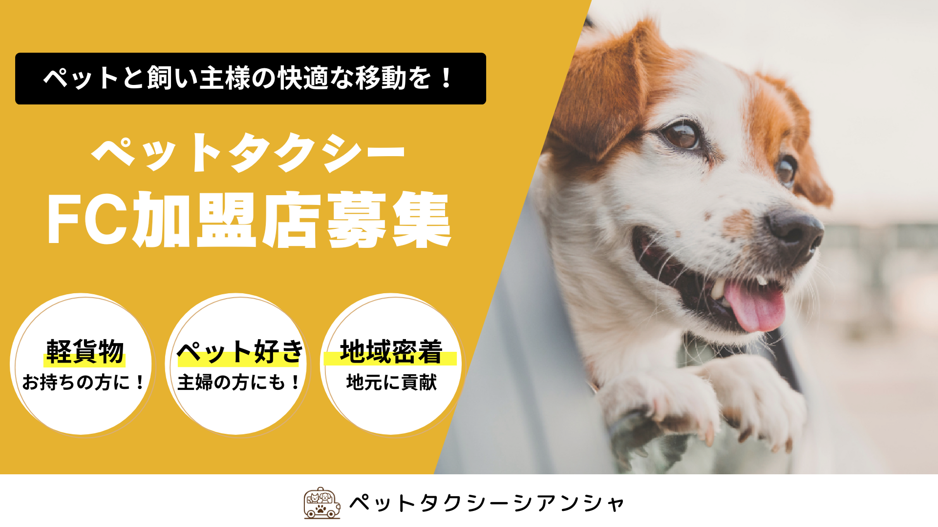 シアンシャ